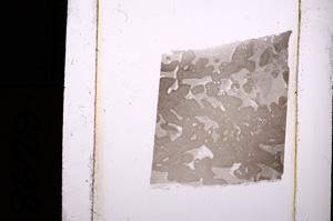 Plane Polarized, E8628