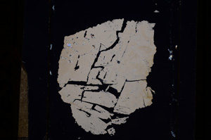 Cross Polarized, E8632