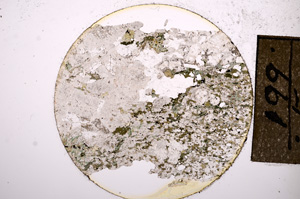 Plane Polarized, E8641