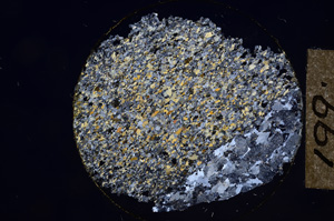 Cross Polarized, E8657