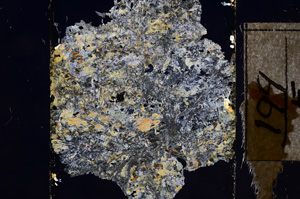 Cross Polarized, E8775