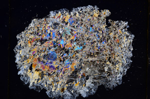 Cross Polarized, E8827