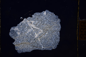 Cross Polarized, E8828