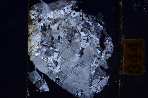 Cross Polarized, E8834