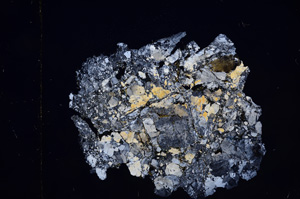 Cross Polarized, E8839