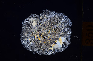 Cross Polarized, E8840