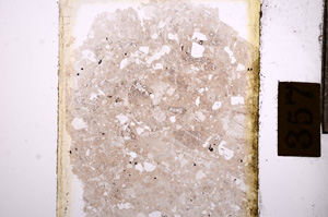 Plane Polarized, E8847