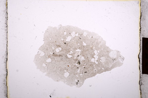 Plane Polarized, E8848