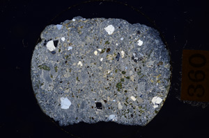 Cross Polarized, E8850