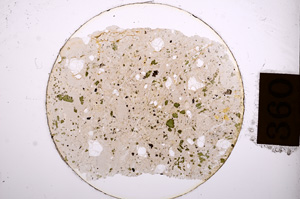 Plane Polarized, E8850