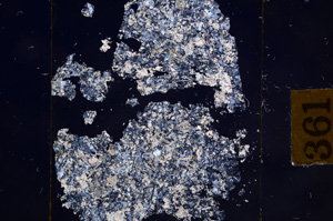 Cross Polarized, E8851