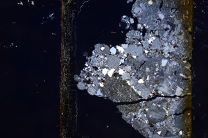 Cross Polarized, E8853