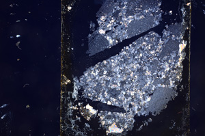 Cross Polarized, E8854