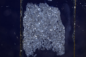 Cross Polarized, E8856