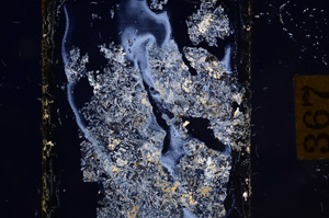 Cross Polarized, E8857