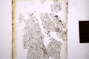 Plane Polarized, E8857
