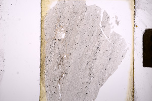 Plane Polarized, E8859