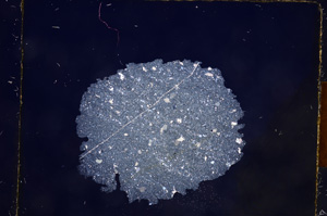 Cross Polarized, E8866
