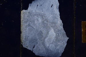Cross Polarized, E8868