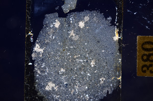 Cross Polarized, E8870