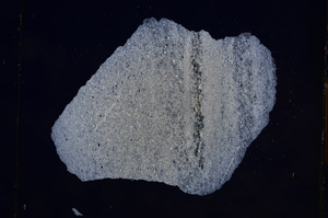 Cross Polarized, E8877