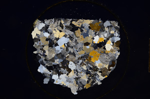 Cross Polarized, E8891