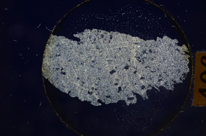 Cross Polarized, E8896