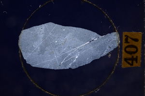 Cross Polarized, E8897