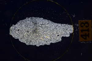 Cross Polarized, E8903