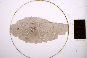 Plane Polarized, E8903