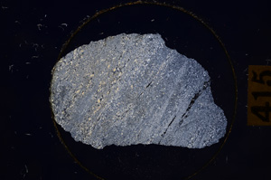 Cross Polarized, E8905