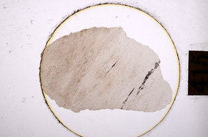 Plane Polarized, E8905