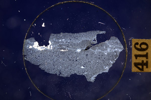 Cross Polarized, E8906