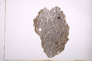 Plane Polarized, E8907