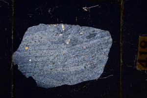 Cross Polarized, E8908