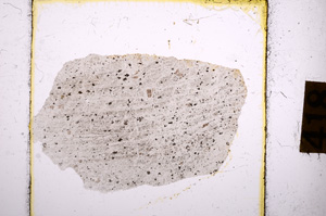 Plane Polarized, E8908