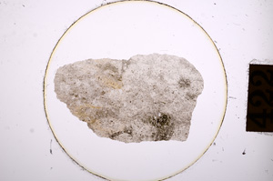 Plane Polarized, E8912