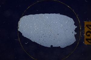 Cross Polarized, E8914