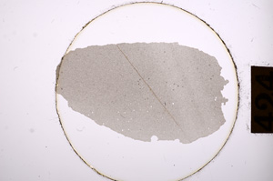 Plane Polarized, E8914