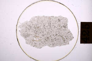 Plane Polarized, E8915