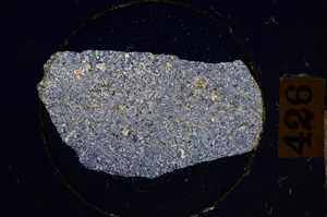 Cross Polarized, E8916