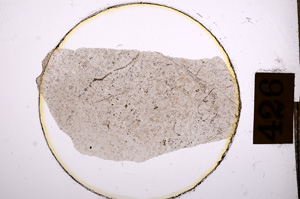 Plane Polarized, E8916