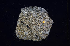 Cross Polarized, E8920