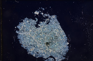 Cross Polarized, E8980