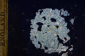 Cross Polarized, E8985