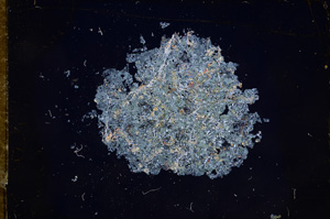 Cross Polarized, E8986