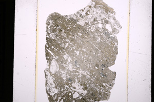 Plane Polarized, E8996