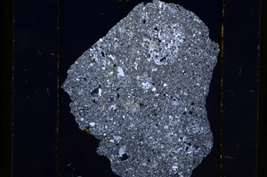 Cross Polarized, E8996/B