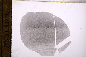 Plane Polarized, E9032