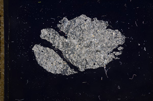 Cross Polarized, E9084